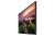 1645594534382_b_QB75B_005_Dynamic_Black.jpg