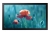 Samsung-Monitor-Profesjonalny-qb13r-lh13qbrebgcxen-serii-QBR-frontblack-Sklep-Promedio.jpg