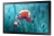 Samsung-Monitor-Profesjonalny-qb13r-lh13qbrebgcxen-serii-QBR-Perspective_Black-Sklep-Promedio.jpg