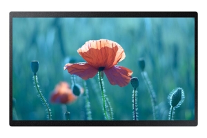 Monitor Samsung QB24R Profesjonalny 24" (LH24QBREBGCXEN)