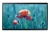 Samsung-Monitor-Profesjonalny-qb24r-lh24qbrebgcxen-serii-QBR-Sklep-Promedio-Front.jpg