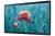Samsung-Monitor-Profesjonalny-qb24r-t-lh24qbrtbgcxen-serii-QBR-Sklep-Promedio-Perspective.jpg
