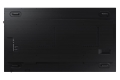 QM98N-002-Back-Black.jpg